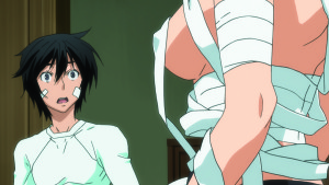 Sekirei Pure Engagement