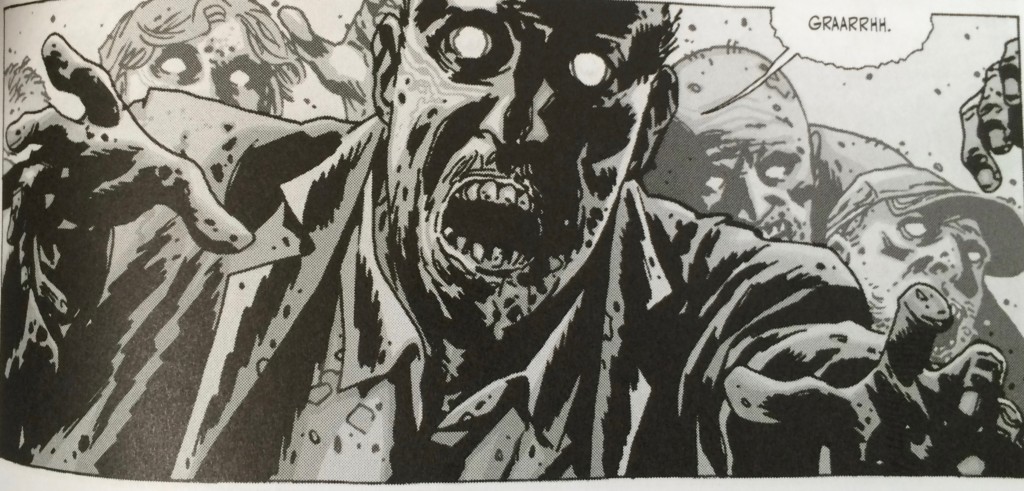 the walking dead 12 2