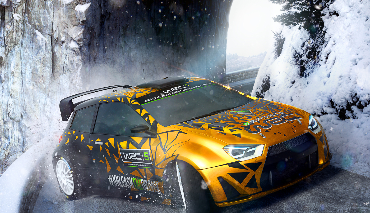 wrc 5 esport edition
