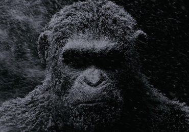 Planet der Affen: Survival