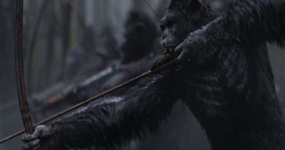 Survival Banner
