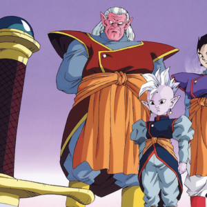 Dragon Ball Z Kai Box 8